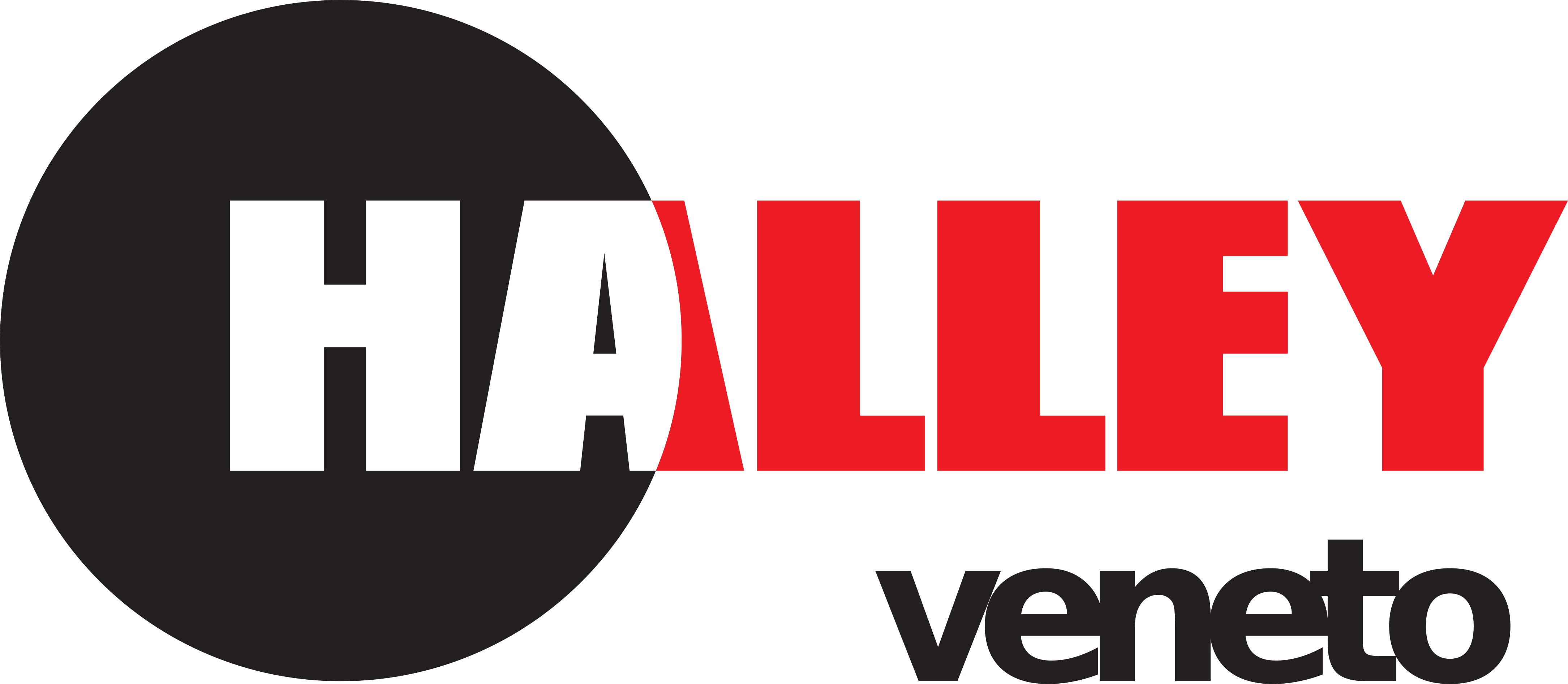 Logo Halley Veneto